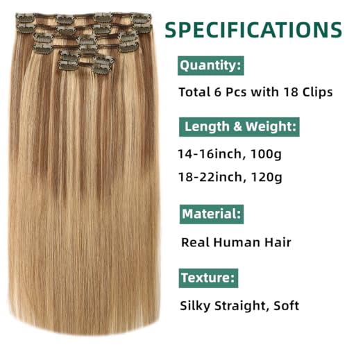 Remy Human Hair Extensions 20 Inch Ash Brown to Caramel Blonde